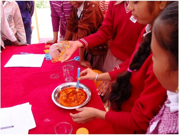 Science Model & Innovation Fair